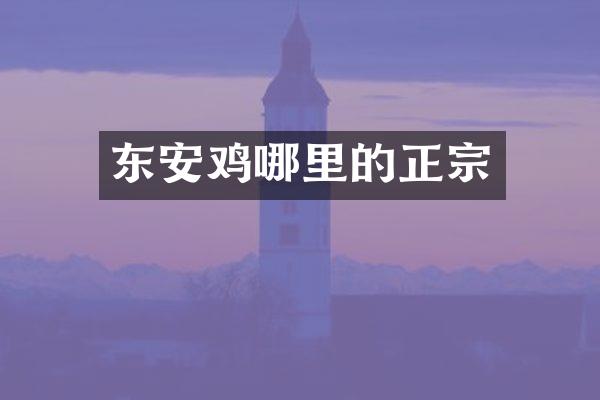 东安鸡哪里的正宗