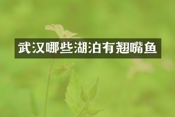 武汉哪些湖泊有翘嘴鱼