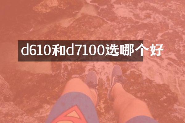 d610和d7100选哪个好