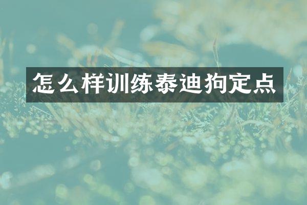 怎么样训练泰迪狗定点
