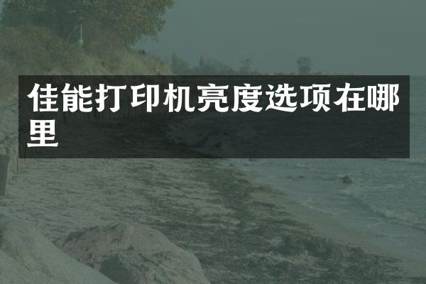 佳能打印机亮度选项在哪里