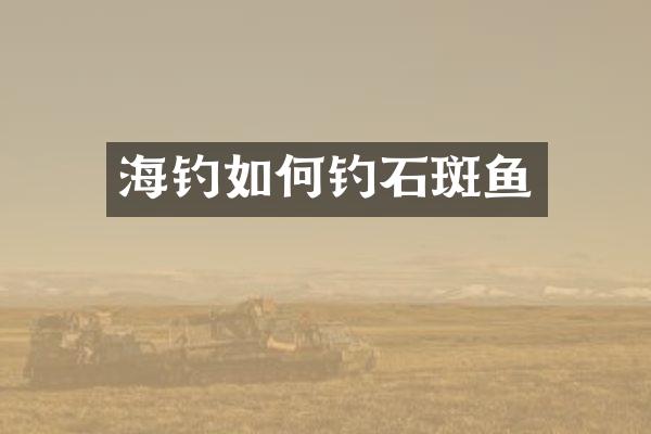 海钓如何钓石斑鱼