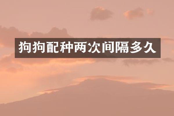 狗狗配种两次间隔多久