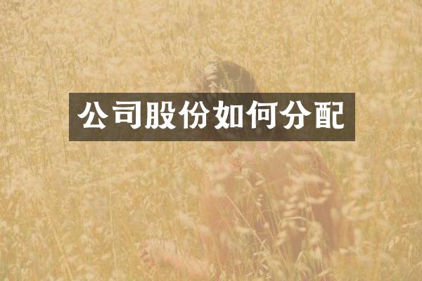 公司股份如何分配