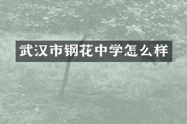 武汉市钢花中学怎么样