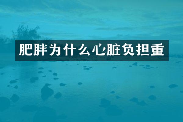 肥胖为什么心脏负担重