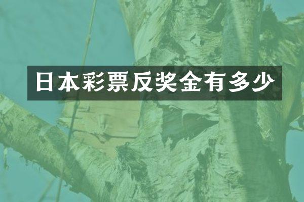 日本彩票反奖金有多少
