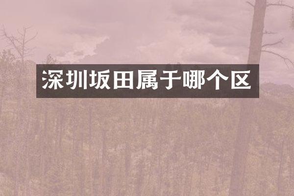 深圳坂田属于哪个区