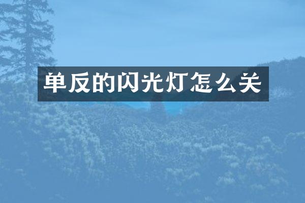 单反的闪光灯怎么关