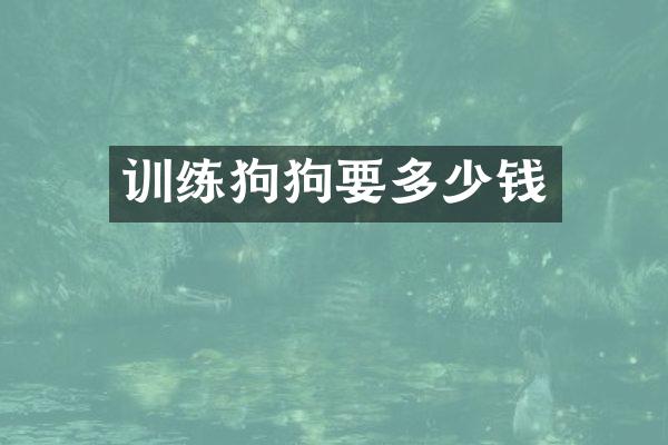 训练狗狗要多少钱