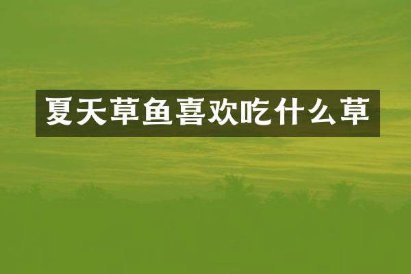 夏天草鱼喜欢吃什么草