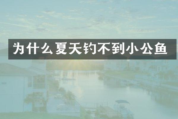 为什么夏天钓不到小公鱼