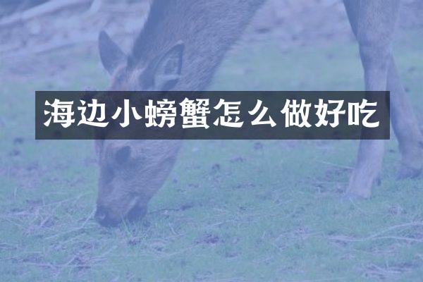 海边小螃蟹怎么做好吃