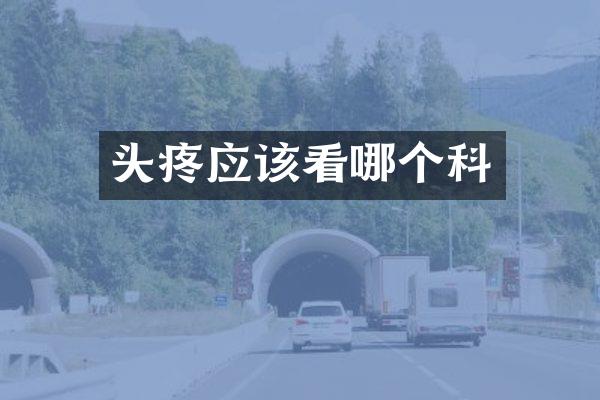 头疼应该看哪个科