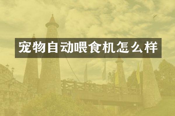 宠物自动喂食机怎么样