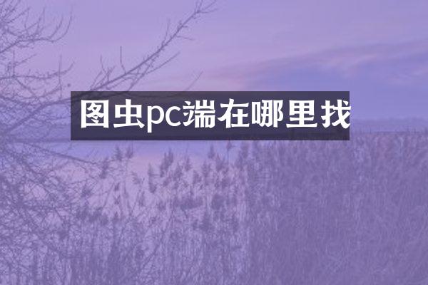 图虫pc端在哪里找