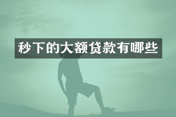 秒下的大额贷款有哪些