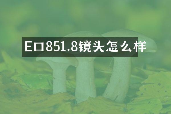 E口851.8镜头怎么样