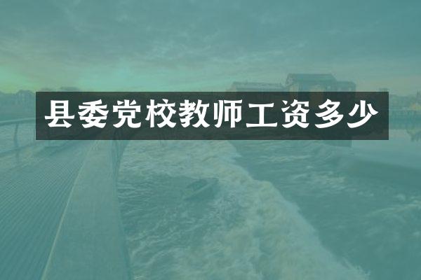 县委党校教师工资多少