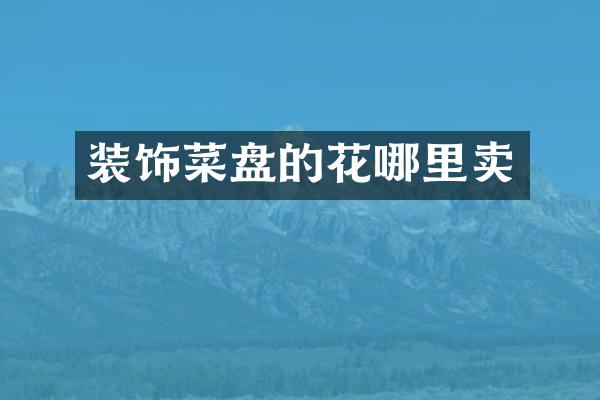 装饰菜盘的花哪里卖