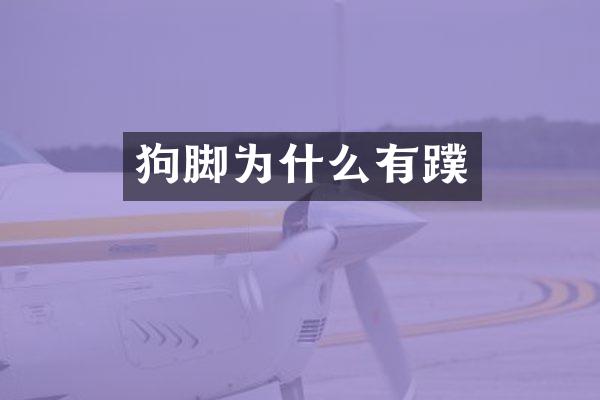 狗脚为什么有蹼