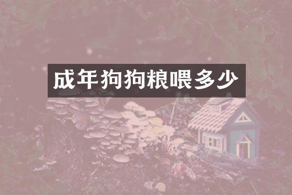 成年狗狗粮喂多少