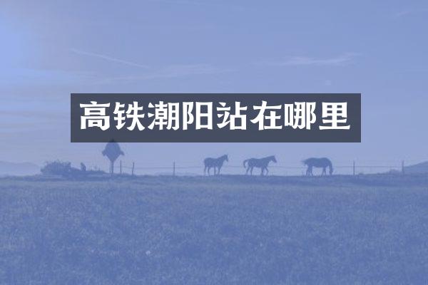 高铁潮阳站在哪里