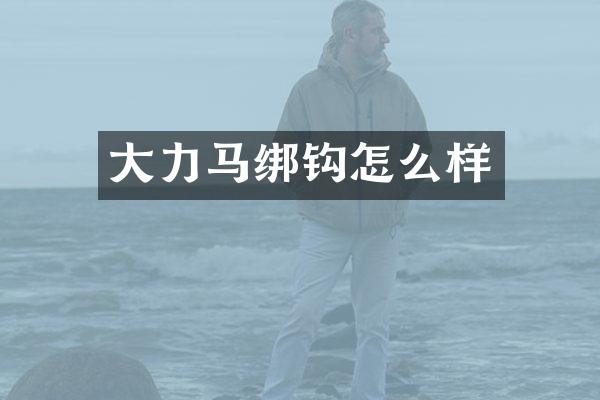 大力马绑钩怎么样