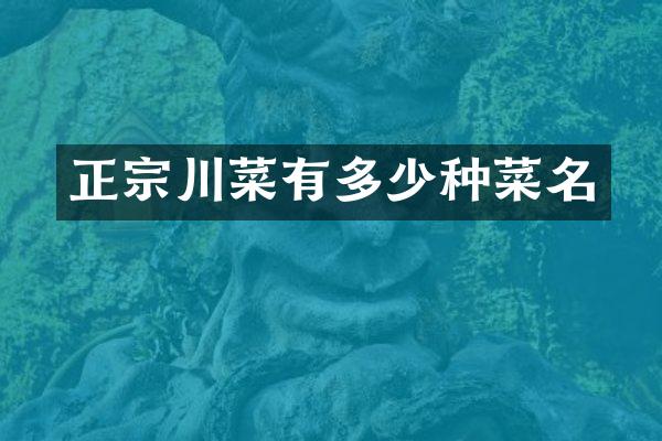 正宗川菜有多少种菜名