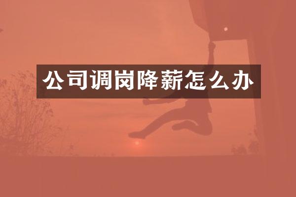 公司调岗降薪怎么办