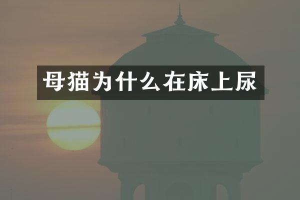 母猫为什么在床上尿