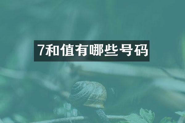 7和值有哪些号码