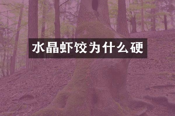 水晶虾饺为什么硬