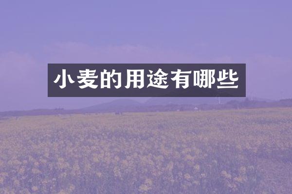 小麦的用途有哪些