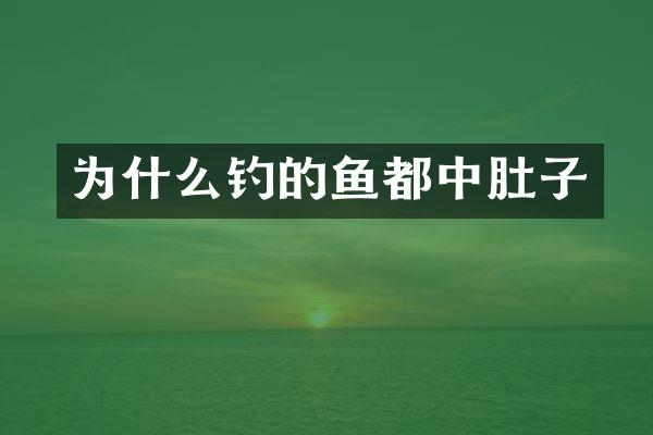 为什么钓的鱼都中肚子