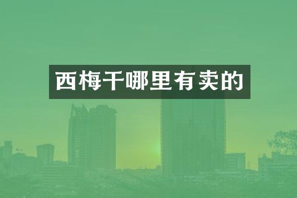 西梅干哪里有卖的