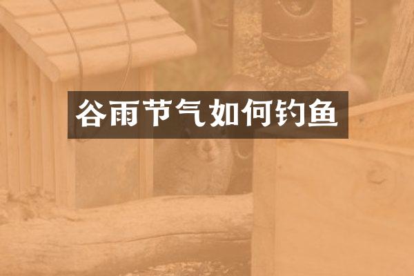 谷雨节气如何钓鱼