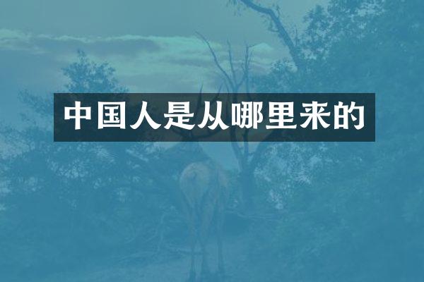 中国人是从哪里来的