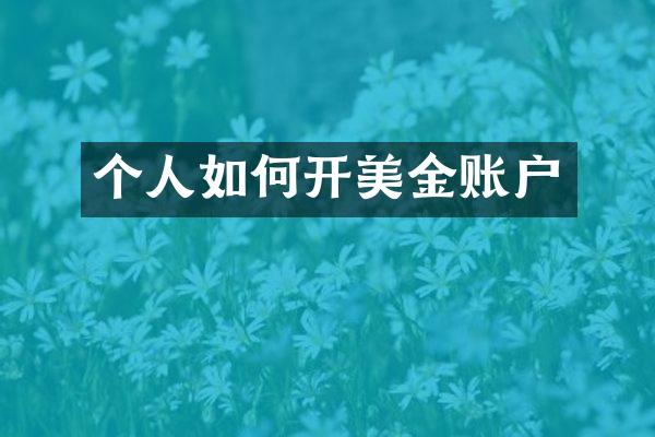 个人如何开美金账户
