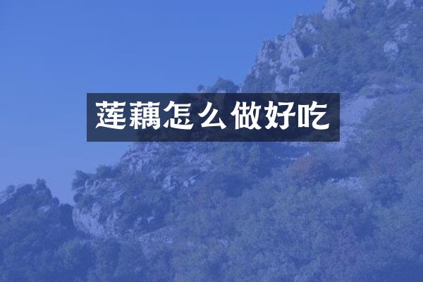 莲藕怎么做好吃