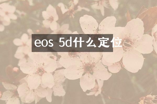 eos 5d什么定位