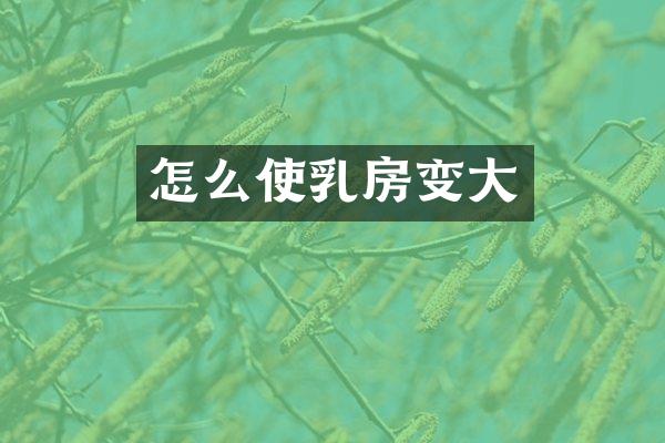 怎么使乳房变大