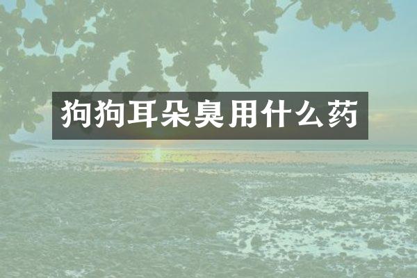 狗狗耳朵臭用什么药