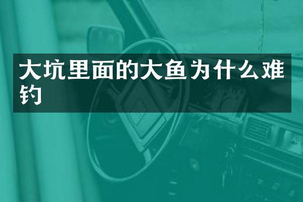 大坑里面的大鱼为什么难钓