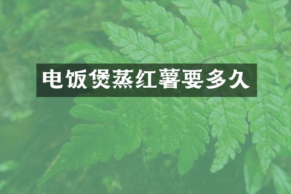 电饭煲蒸红薯要多久