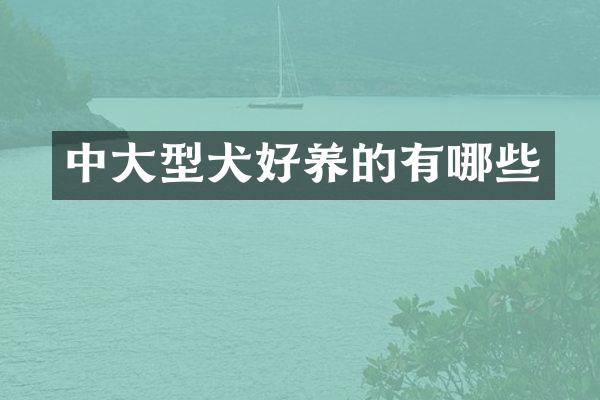 中大型犬好养的有哪些