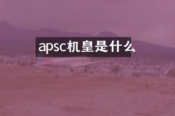apsc机皇是什么
