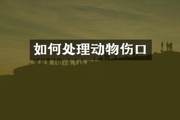 如何处理动物伤口