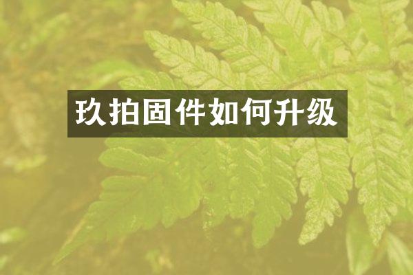 玖拍固件如何升级