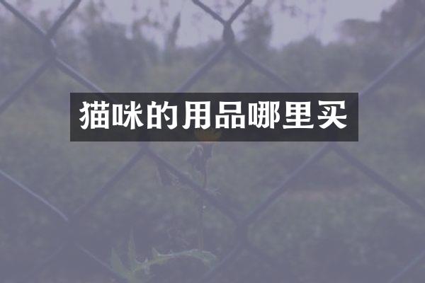 猫咪的用品哪里买